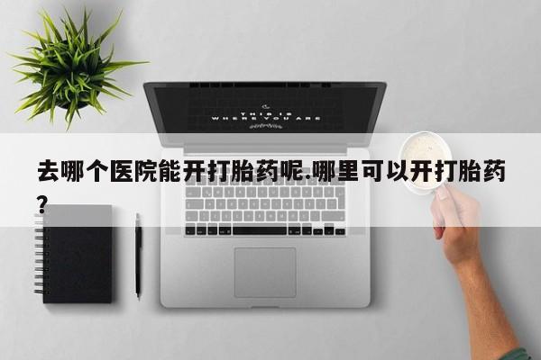 吃什么东西容易导致流产去哪个医院能开打胎药呢.哪里可以开打胎药？