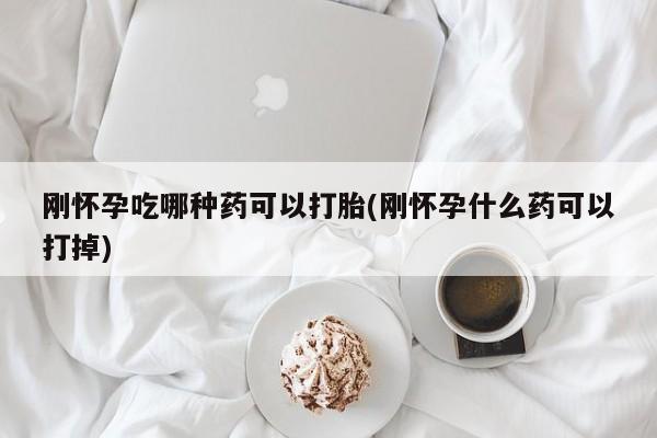 吃什么东西容易导致流产刚怀孕吃哪种药可以打胎(刚怀孕什么药可以打掉)
